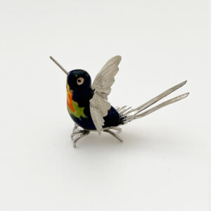 Long Split Tail Blue Hummingbird