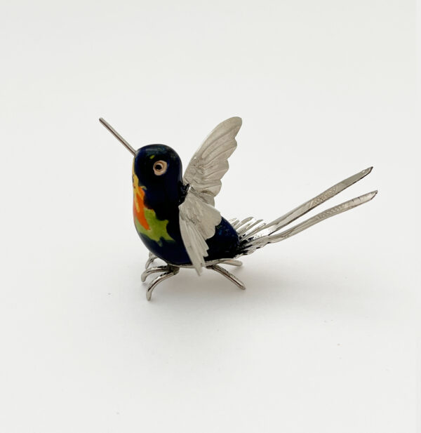 Long Split Tail Hummingbird