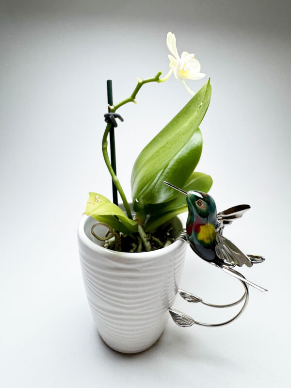 Short Tail Mount Support Hummingbird