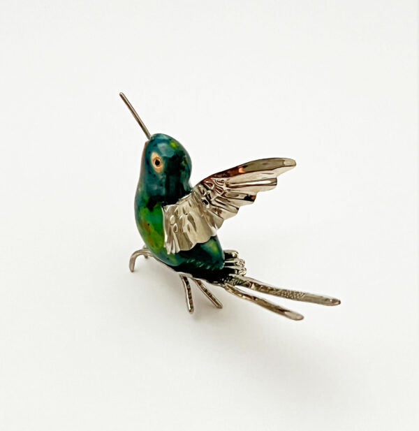Long Split Tail Hummingbird