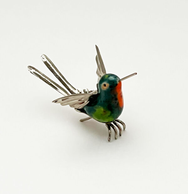 Long Split Tail Hummingbird