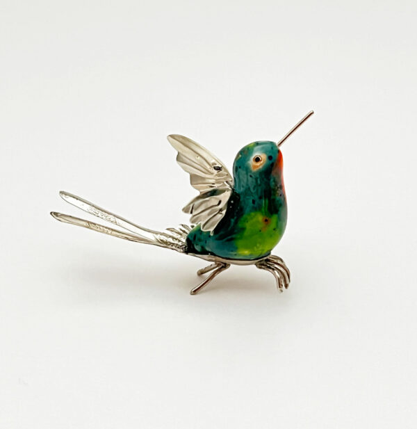 Long Split Tail Hummingbird