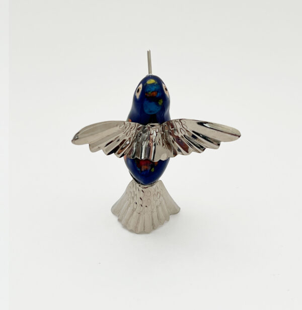Short Tail Hummingbird