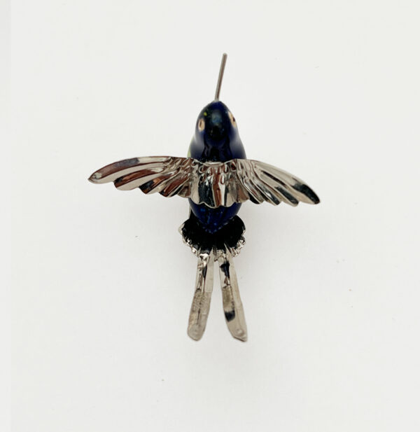 Long Split Tail Hummingbird