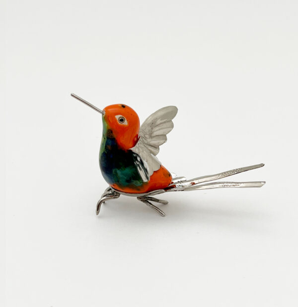 Long Split Tail Hummingbird
