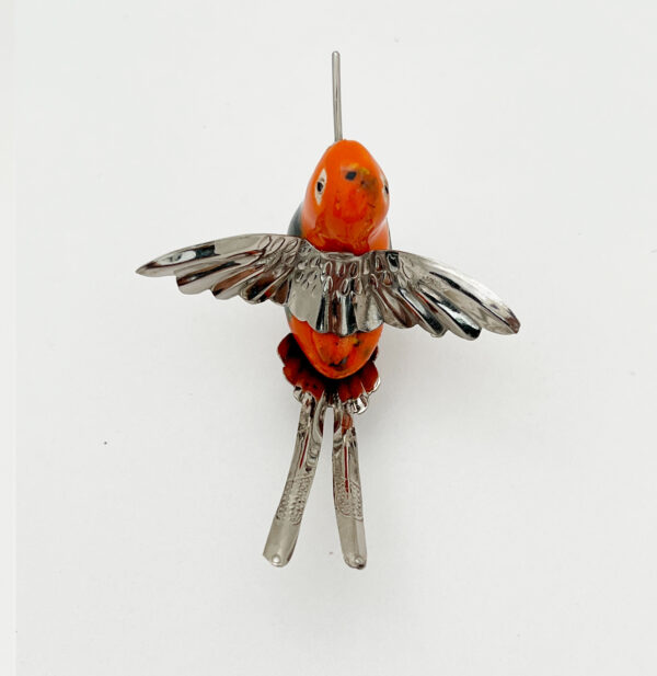 Long Split Tail Hummingbird